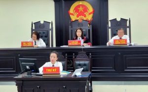 Áp dụng pháp luật hay áp dụng “nhận thức” pháp luật